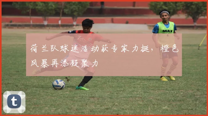 荷兰队球迷活动获专家力挺，橙色风暴再添凝聚力 - 搜狐体育推荐