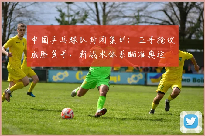 中国乒乓球队封闭集训:正手抢攻成胜负手,新战术体系瞄准奥运 - 搜狐体育推荐