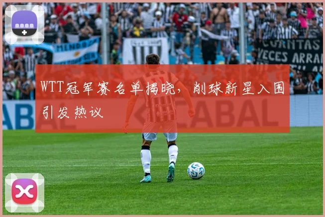 WTT冠军赛名单揭晓,削球新星入围引发热议 - 搜狐体育推荐