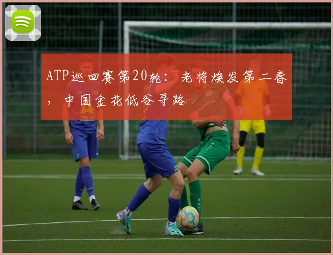 ATP巡回赛第20轮：老将焕发第二春，中国金花低谷寻路 - 搜狐体育推荐