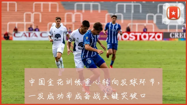中国金花训练重心转向发球环节,一发成功率成备战关键突破口 - 搜狐体育推荐